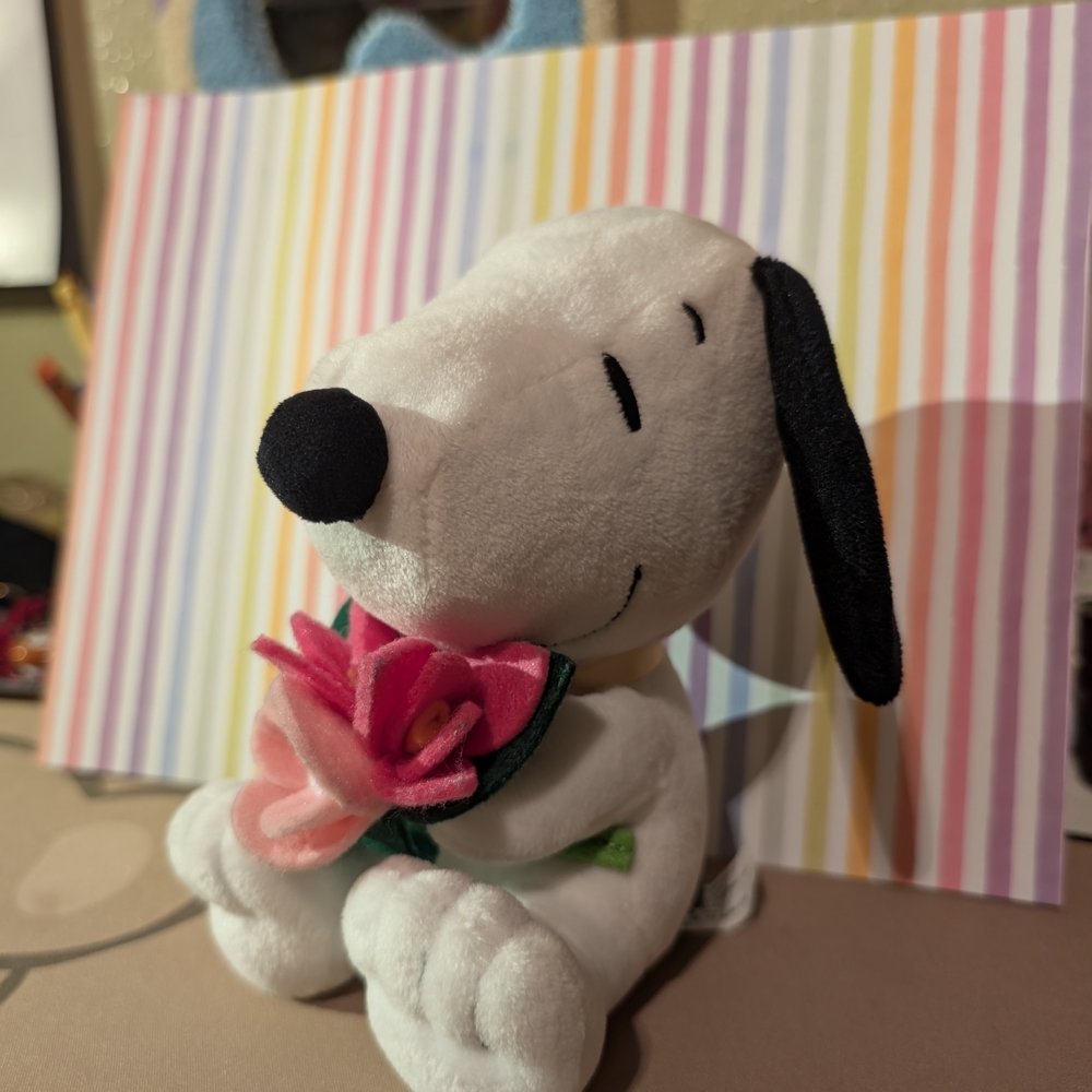 Hallmark Snoopy Plush Valentine's Design